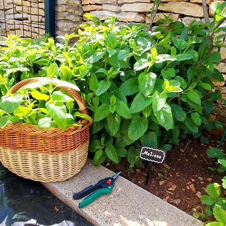 Villa Indigenous House Komez Štokovci