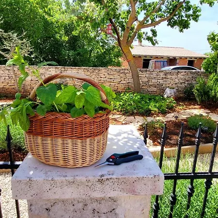 Indigenous House Komez