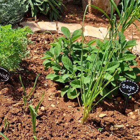 Indigenous House Komez Villa Štokovci