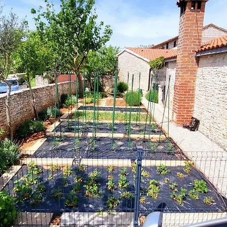 Indigenous House Komez * Štokovci