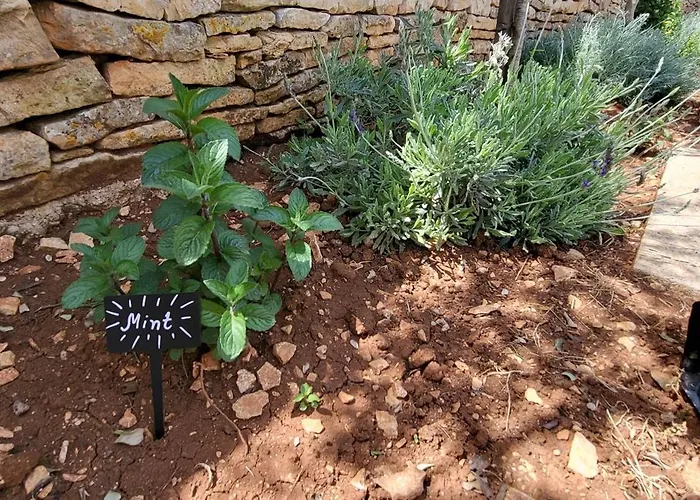 Willa Indigenous House Komez Štokovci