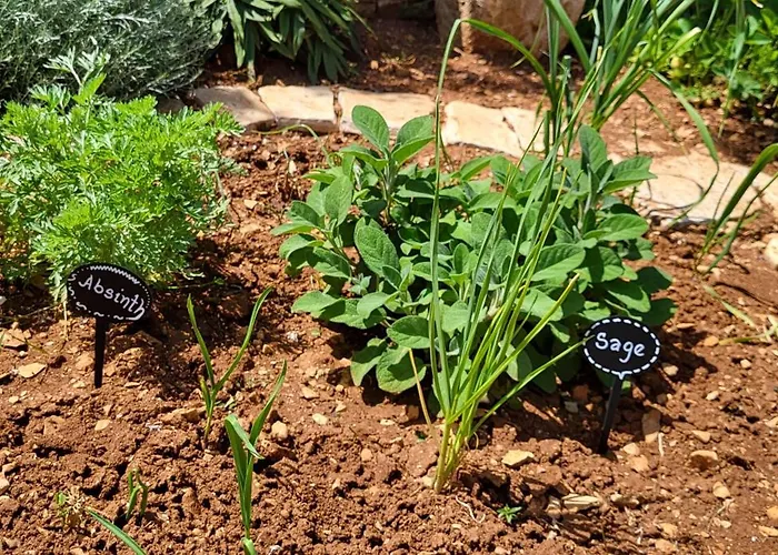 Indigenous House Komez Willa Štokovci