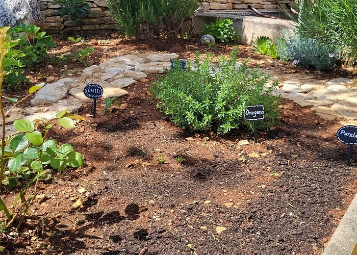 Indigenous House Komez Willa *