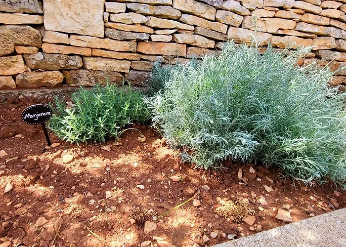 Indigenous House Komez *